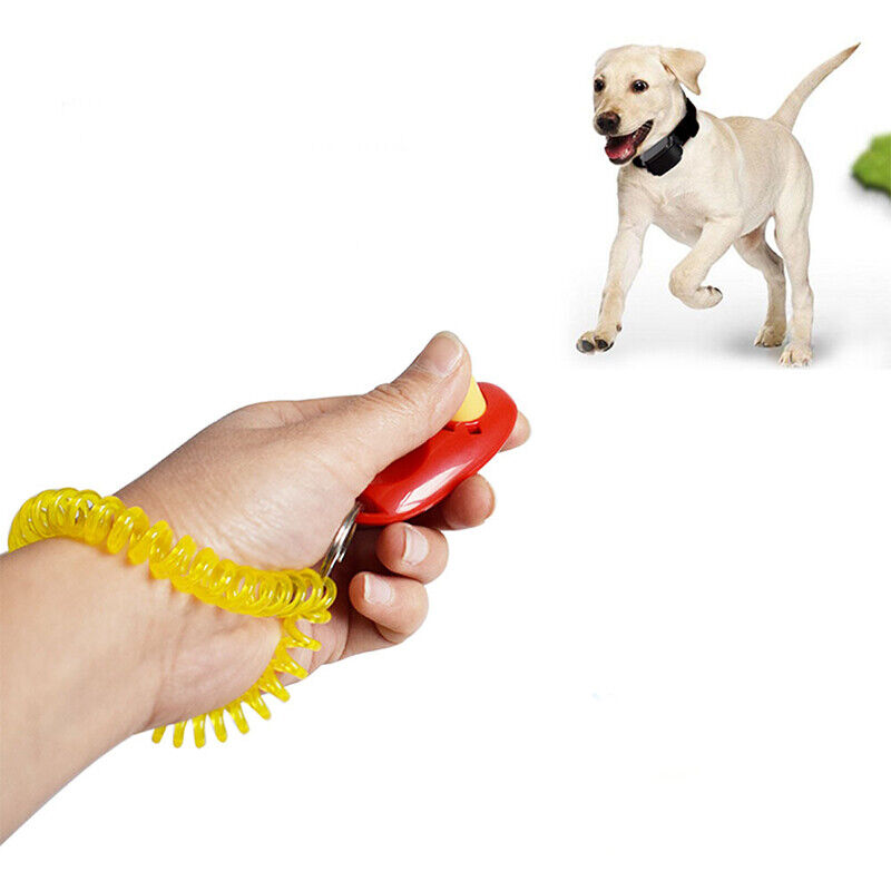 Dog Training Dog Training Clicker, Training Pet Sound Trainer, Pet Puppies And C